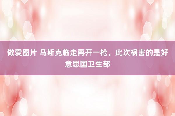 做爱图片 马斯克临走再开一枪，此次祸害的是好意思国卫生部