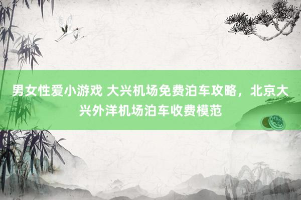 男女性爱小游戏 大兴机场免费泊车攻略，北京大兴外洋机场泊车收费模范