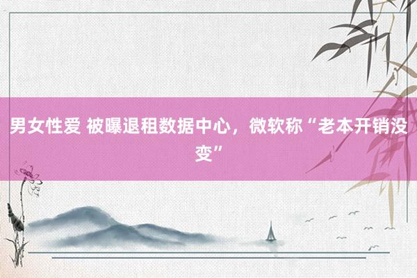 男女性爱 被曝退租数据中心，微软称“老本开销没变”