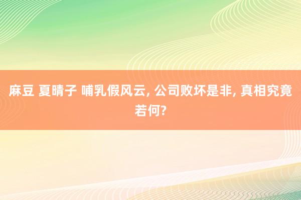 麻豆 夏晴子 哺乳假风云， 公司败坏是非， 真相究竟若何?