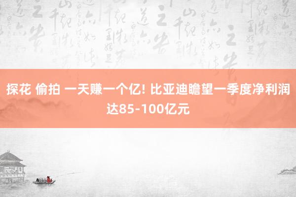 探花 偷拍 一天赚一个亿! 比亚迪瞻望一季度净利润达85-100亿元