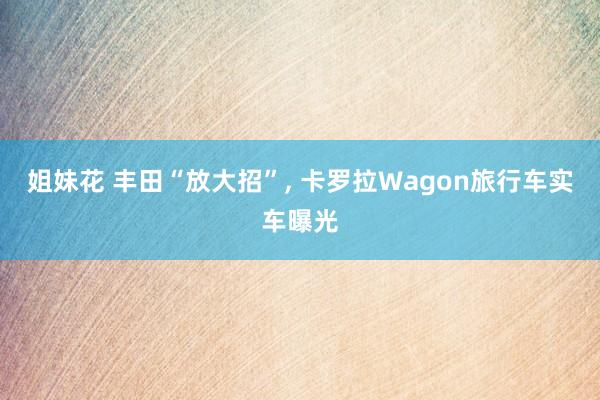 姐妹花 丰田“放大招”， 卡罗拉Wagon旅行车实车曝光