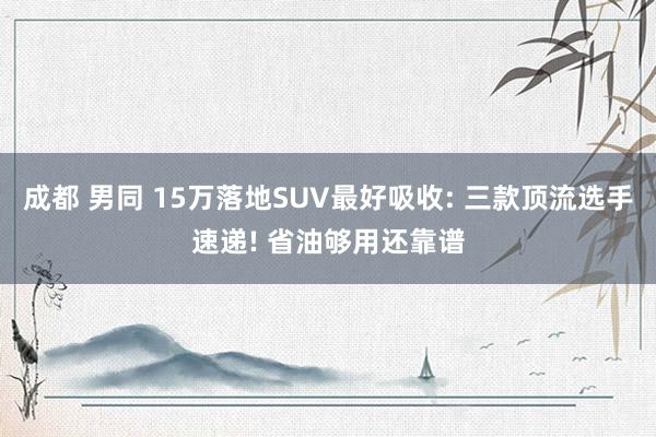 成都 男同 15万落地SUV最好吸收: 三款顶流选手速递! 省油够用还靠谱