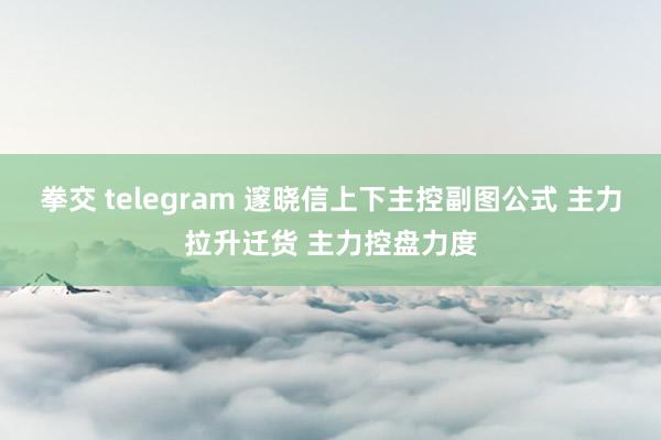 拳交 telegram 邃晓信上下主控副图公式 主力拉升迁货 主力控盘力度