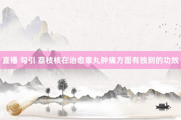 直播 勾引 荔枝核在治愈睾丸肿痛方面有独到的功效