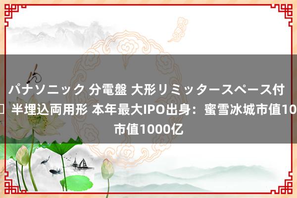 パナソニック 分電盤 大形リミッタースペース付 露出・半埋込両用形 本年最大IPO出身：蜜雪冰城市值1000亿