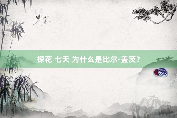 探花 七天 为什么是比尔·盖茨？
